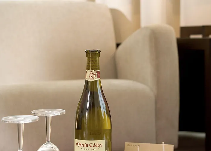 호텔 Nh Balago 바야돌리드